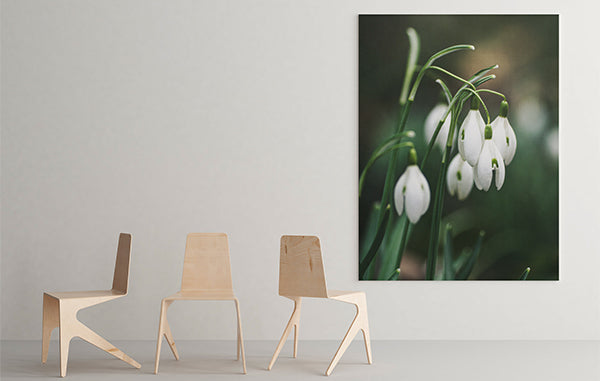 Acrylic Prints