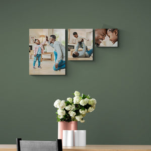 Silver Run Canvas Print Wall Display